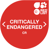 IUCN Red List CR
