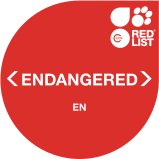 IUCN Red List EN