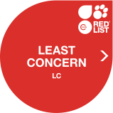 IUCN Red List LC