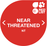 IUCN Red List NT
