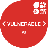 IUCN Red List VU