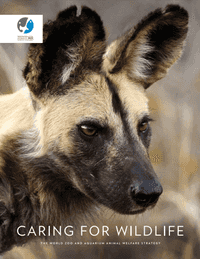 Caring For Wildlife