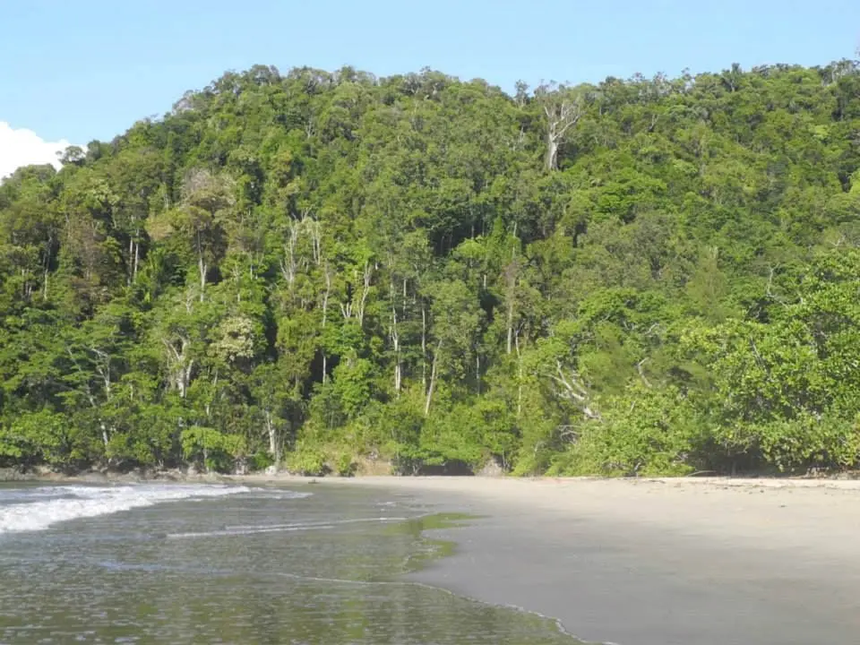 September 2024 Conservation Snapshot