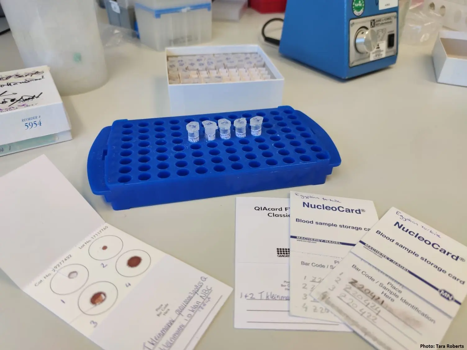 EAZA Biobank